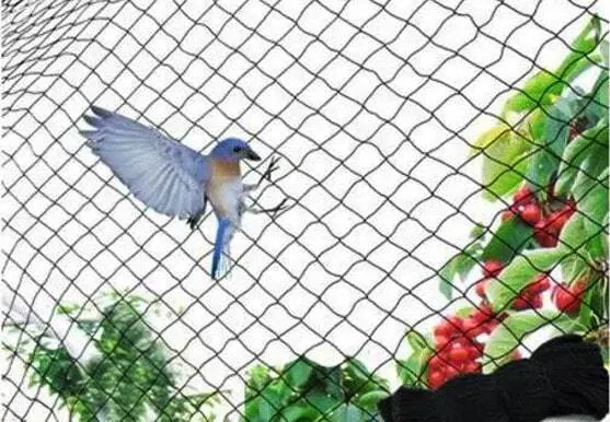 Pigeon Safety Nets in Bangalore